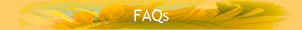 FAQs Karibik Segeln