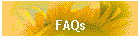 FAQs Karibik Segeln